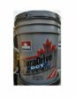 PETRO-CANADA DuraDrive DCT 20L