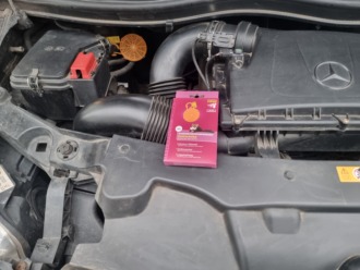 Jak se zbavit kuny v autě a zajistit ochranu kabelů proti kunám