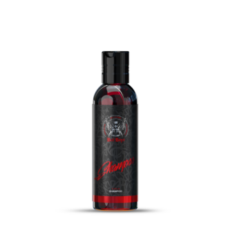 Bad Boys Shampoo Set - Malá sada na mytí auta