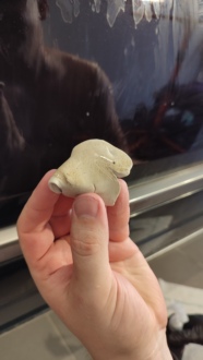 Nečistoty u dekontaminace