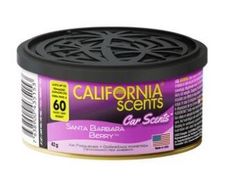 California Scents Car Scents Lesní ovoce 42 g