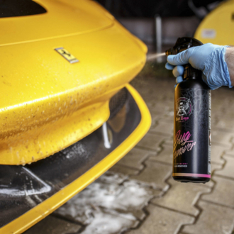 Bad Boys Bug Remover - Odstraňovač zaschlého hmyzu (5 l)